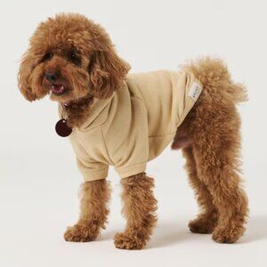 Bruno Society Dog Hoodie - Organic Soft Cotton - Cream Size 5 - NWT